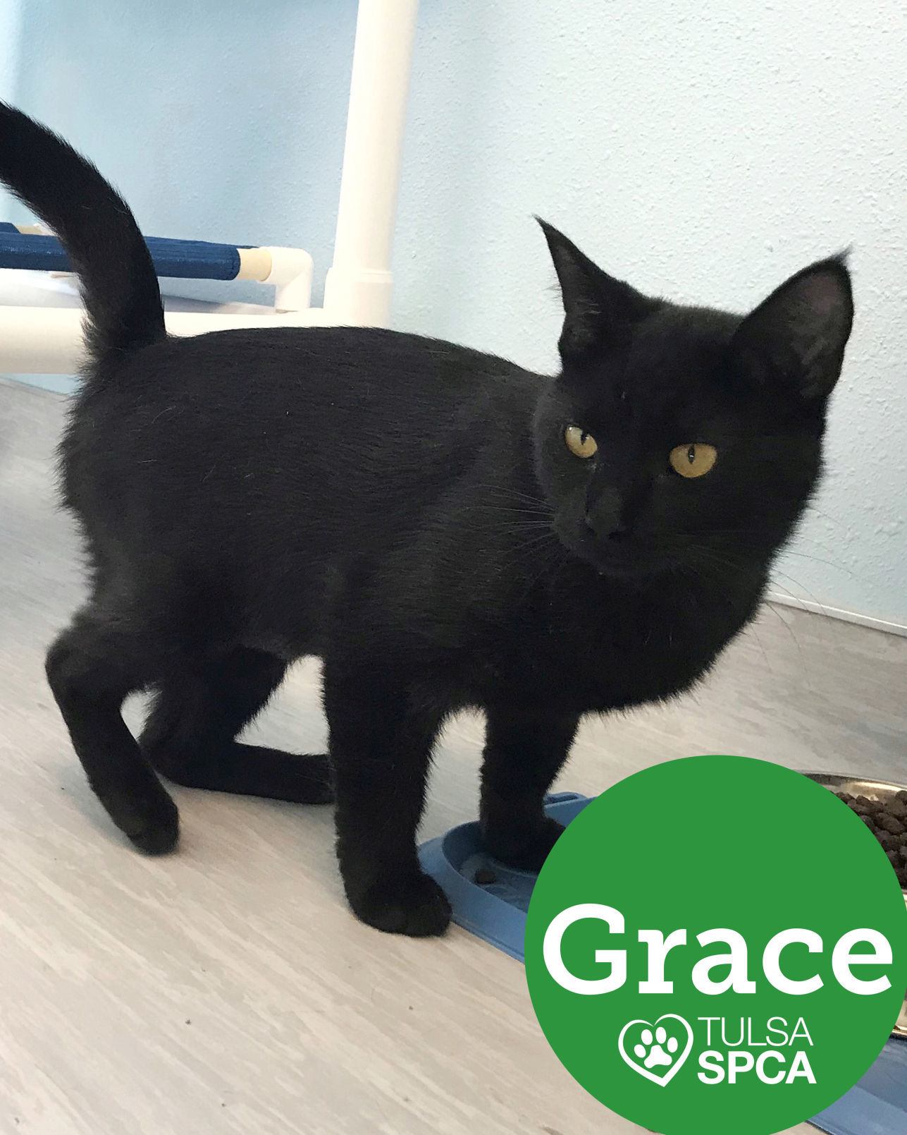 Grace